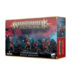 Warhammer: Age of Sigmar - SOULBLIGHT GRAVELORDS: BLOOD KNIGHTS